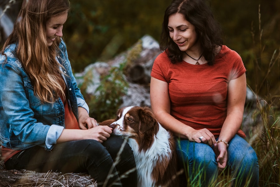 Animal Creation Tierkommunikation Ausbildung