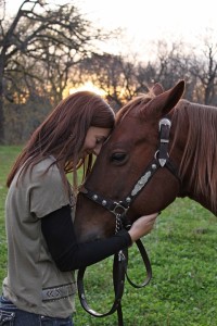 Mensch und Tier Pferd Tierkommunikation