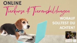 Online Tierkurse Tierausbildungen