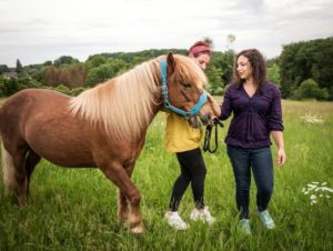 Pferd Mensch Coaching Animal Creation Tierkommunikation