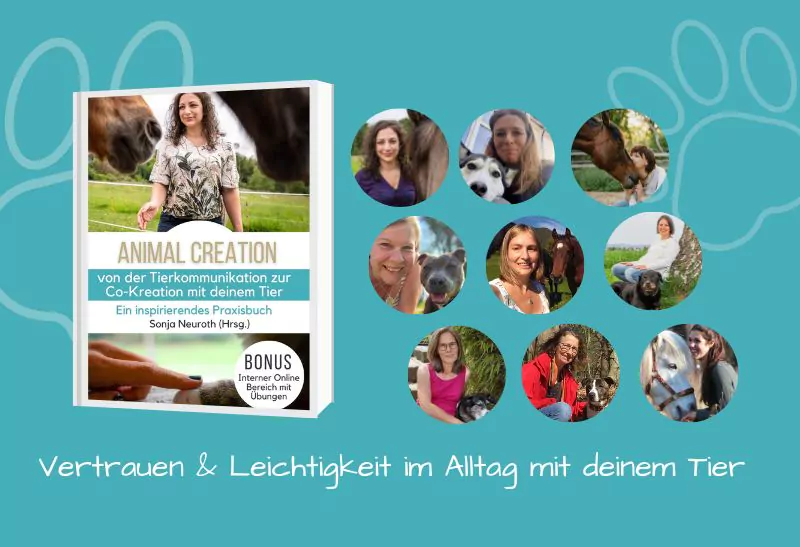 Animal Creation Tierkommunikation Buch