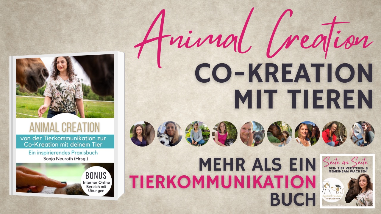 Tierkommunikation Buch Animal Creation lernen